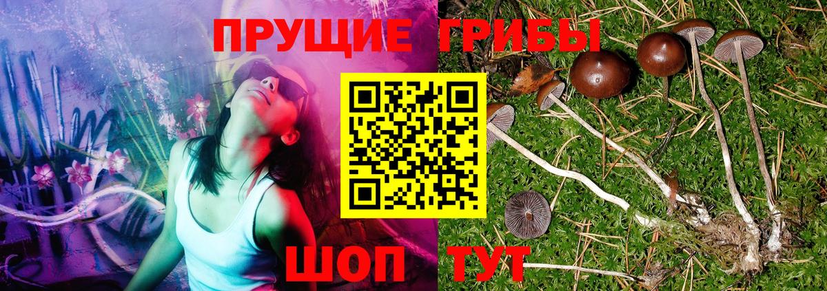 Галлюциногенные грибы Magic Shrooms Качканар