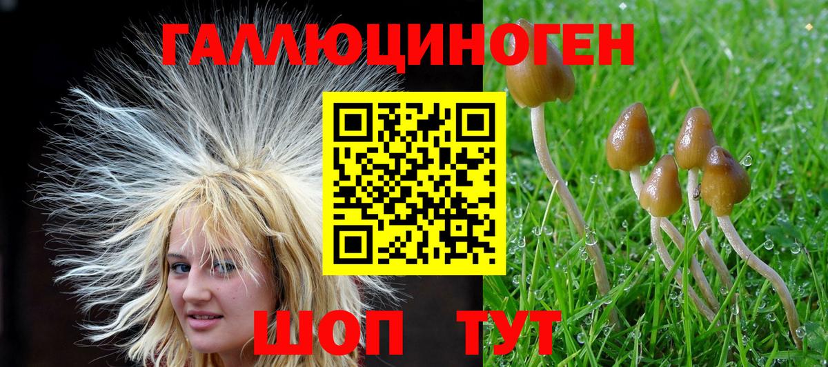 Псилоцибиновые грибы ЛСД  Вход с VPN  Качканар 